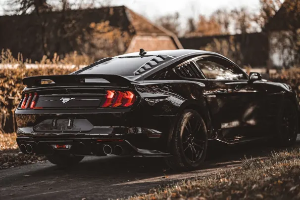 بيايزدزد كازينو تطبيق أندرويد/آي أو إس